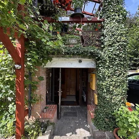 Pod Winogronami ファームステイ Ploty