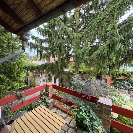 ファームステイ Pod Winogronami