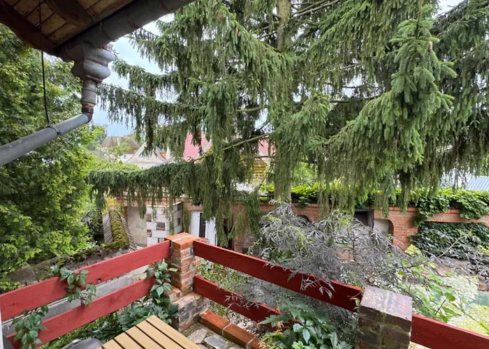 Farm stay Pod Winogronami