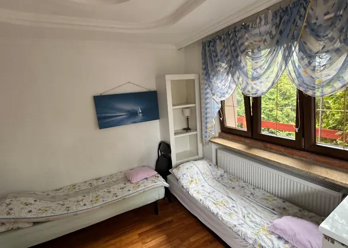 Pod Winogronami * Ploty